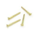 Wkręty mosiężne 2x20 mm DIN97 20 szt.