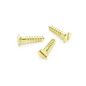 Wkręty mosiężne 2,5x12 mm DIN97 20 szt.