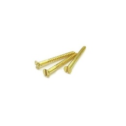 Wkręty mosiężne 3x30 mm DIN97 20 szt.